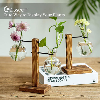 Vermehrungsstation Holzregal Birne Vintage Avocado Vase Glas Reagenzglas Vasen Blumen Eichel Pflanze Table Desk Decor