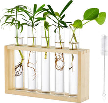 Kleines Vasen Set Vintage Glas Reagenzgläser Holzstation