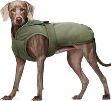 Reflektierender Hundemantel mit Fleece für kleine Hunde