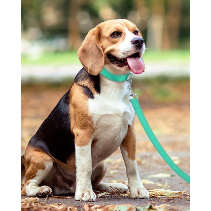 Hundeleine gepolstert reflektierend für große Hunde Türkis 1.2m