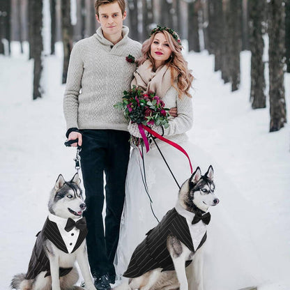 Hund Smoking Anzug Bandana Set Hochzeit Halloween Größe