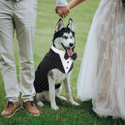 Hund Smoking Anzug Bandana Set Hochzeit Halloween Größe