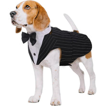Kuoser Hund Smoking Anzug Bandana Set Hochzeit Party S-XXL