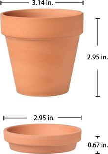 12er Mini Terrakotta Töpfe mit Untersetzer 7.9x7.4cm