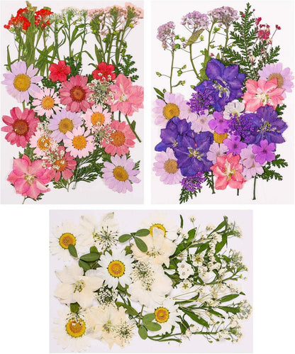 Natürliche DIY Getrocknete Blumen Gepresstes Blätter Set