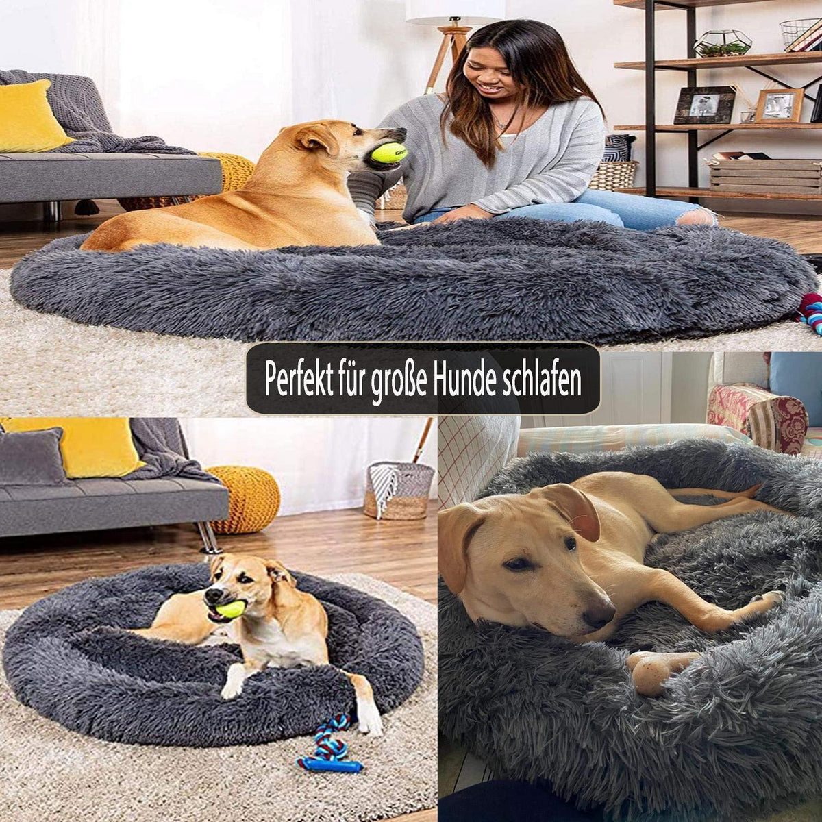 Orthopädisches Hundebett XXL – Waschbar & Kuschelig