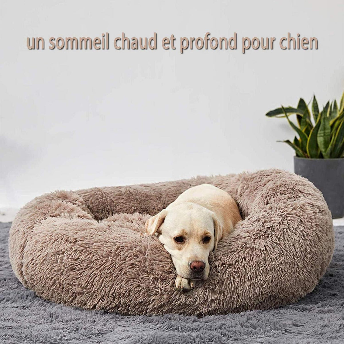 XXL Orthopädisches Hundebett – Waschbar & Kuschelig
