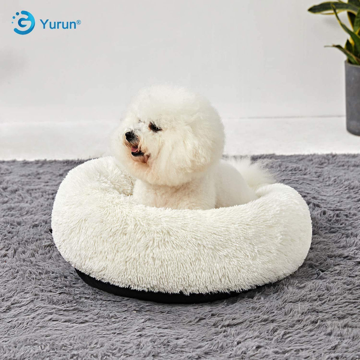 Flauschiges Hundebett rund, Weiß 120x120x20cm