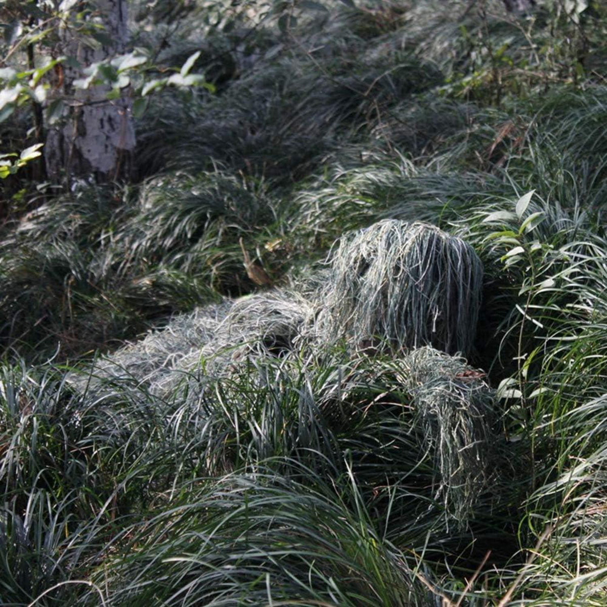 Ghillie Suit Tarnanzug Jagd Wald Wüste Camouflage Set