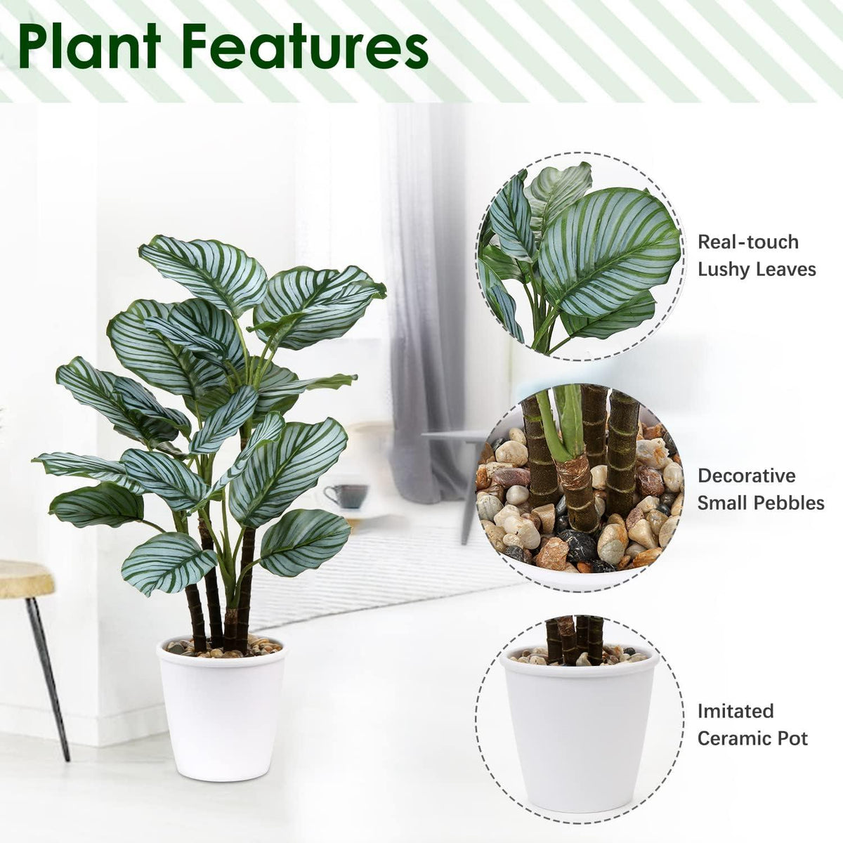 Künstliche Pflanze 63cm Calathea Orbifolia Tropische