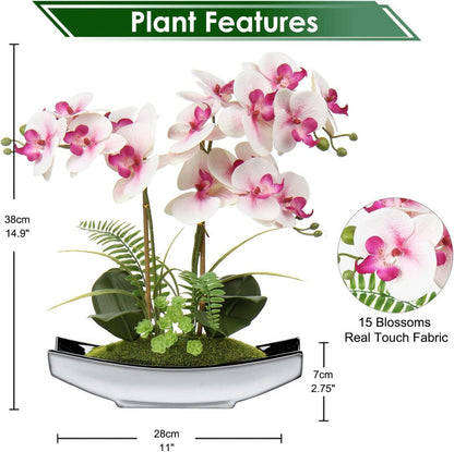 Künstliche Orchideen Phalaenopsis Bonsai Kunstblumen Deko