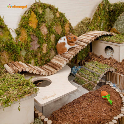 Hamster Hängebrücke Spielzeug für Zwerghamster und Mäuse