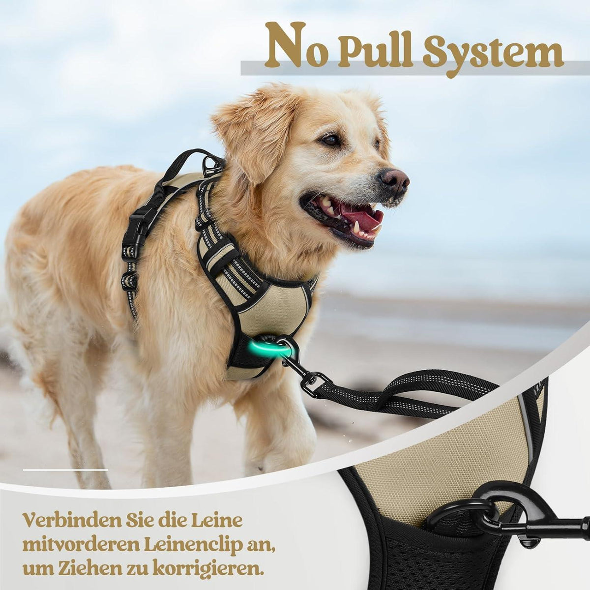 Hundegeschirr Anti-Zug mit Griff, verstellbar, Kaki M