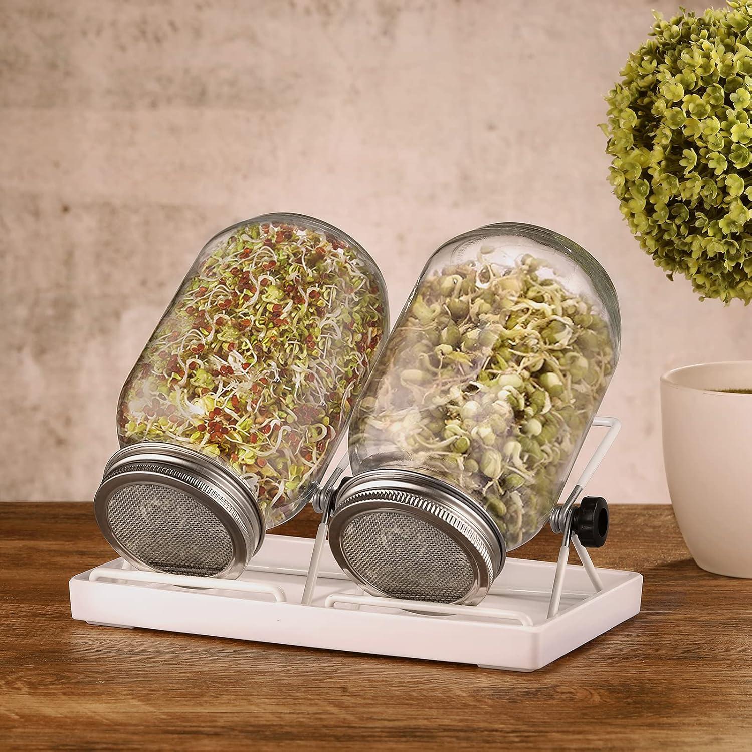 Hydroponische Sprossen Keimglas 2er Set mit Filterdeckel und Ständer - 750ml