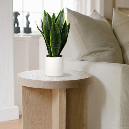 Künstliche Sansevieria Zimmerpflanze mit Keramiktopf weiß 40.6cm