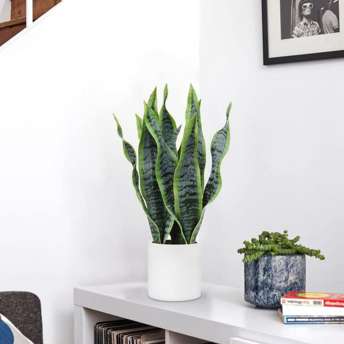 Künstliche Sansevieria Dekopflanze Weiß Keramiktopf 40.6cm