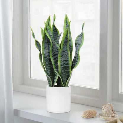 Künstliche Sansevieria Zimmerpflanze Weiß Topf 40.6cm