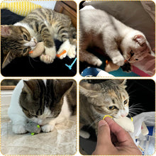 Katzenminzen Spielzeug 36 Stück Mäuse & Sticks