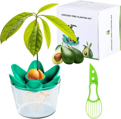 Avocado Pflanzen Geschenk Anzuchtsets Gartenarbeit Werkzeug Pflanzset
