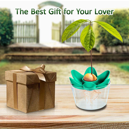 Herefun Avocado Pflanzen Geschenk Anzucht Garten Werkzeug Set