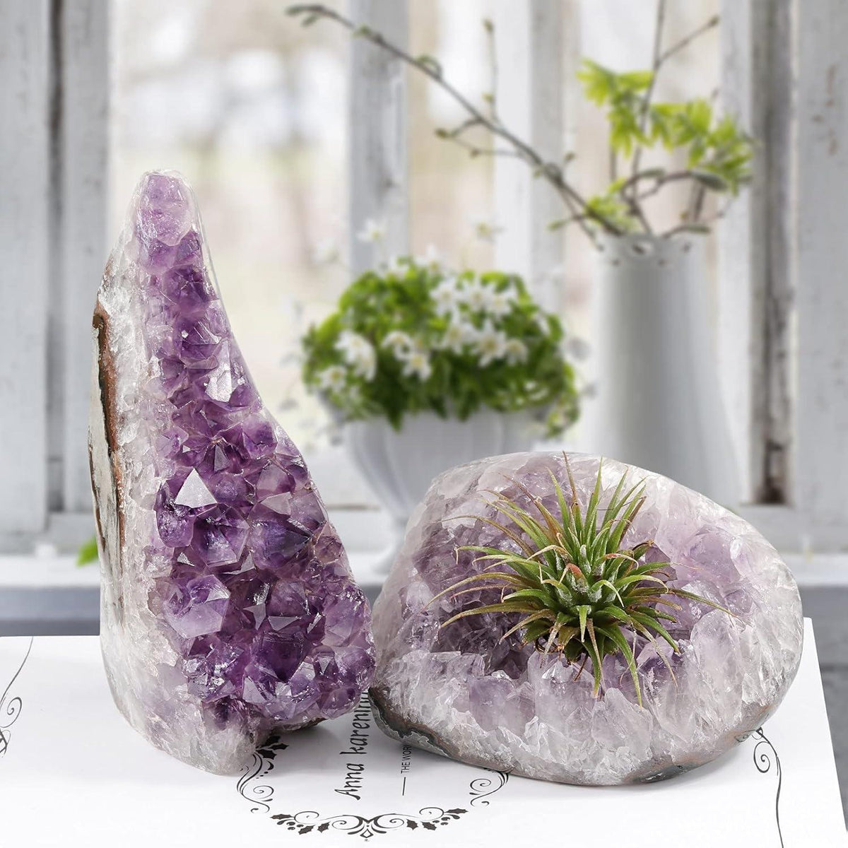Natürlicher Amethyst Kristall Druse Dekoration 700g-800g