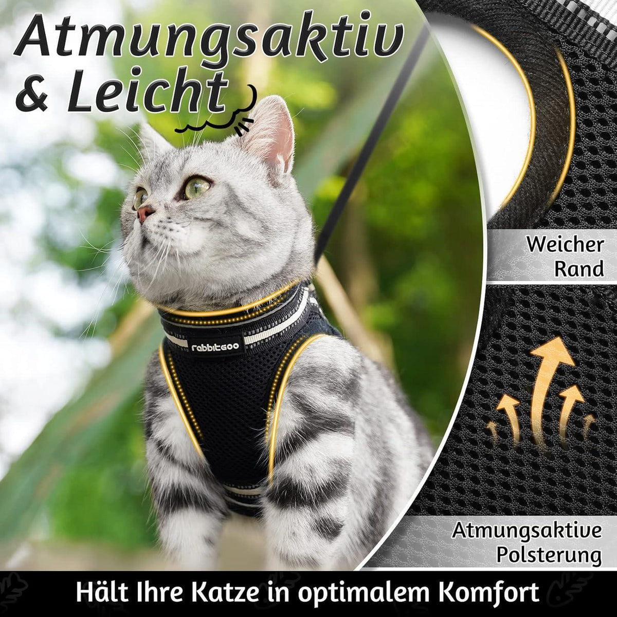Katzengeschirr mit Leine, ausbruchsicher, verstellbar, L, Schwarz