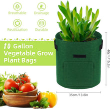 Potato Growing Bags 10 Gallonen 5-Stück mit Sichtfenster und