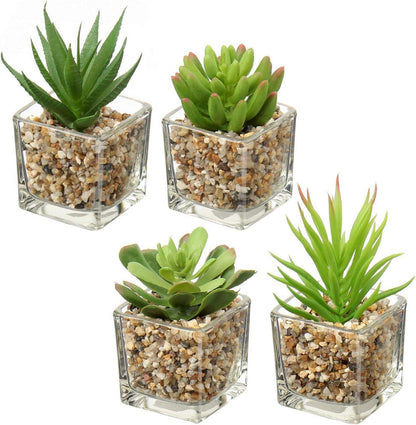 Kunstpflanzen Set künstliche Sukkulenten Deko Glastopf 4er Set 10.5cm