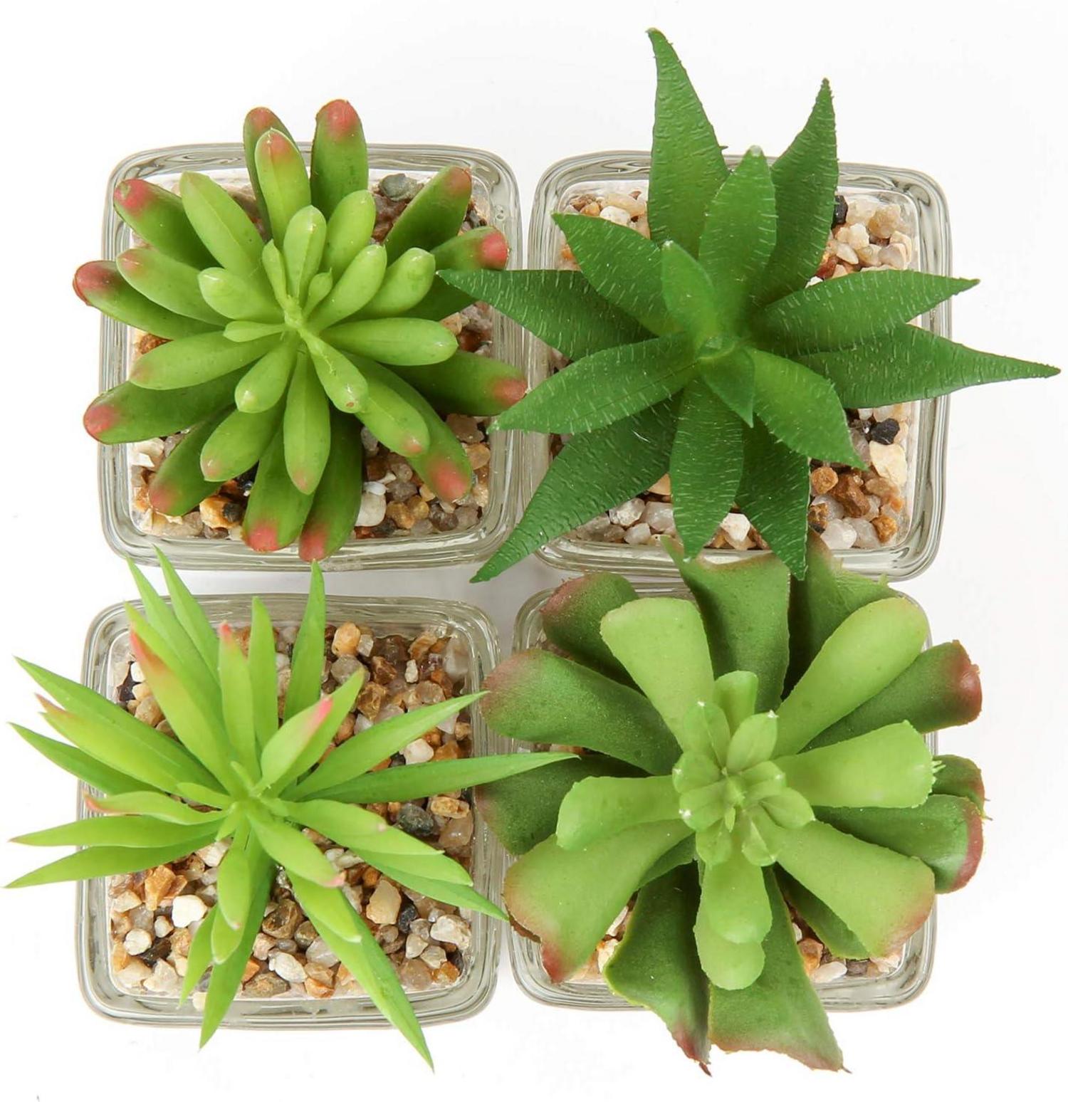 Kunstpflanzen Set künstliche Sukkulenten Deko Glastopf 4er Set 10.5cm