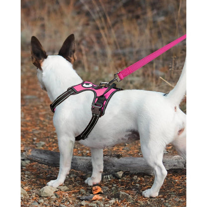 Hundeleine reflektierend, gepolsterter Griff, 1,5m, Hotpink