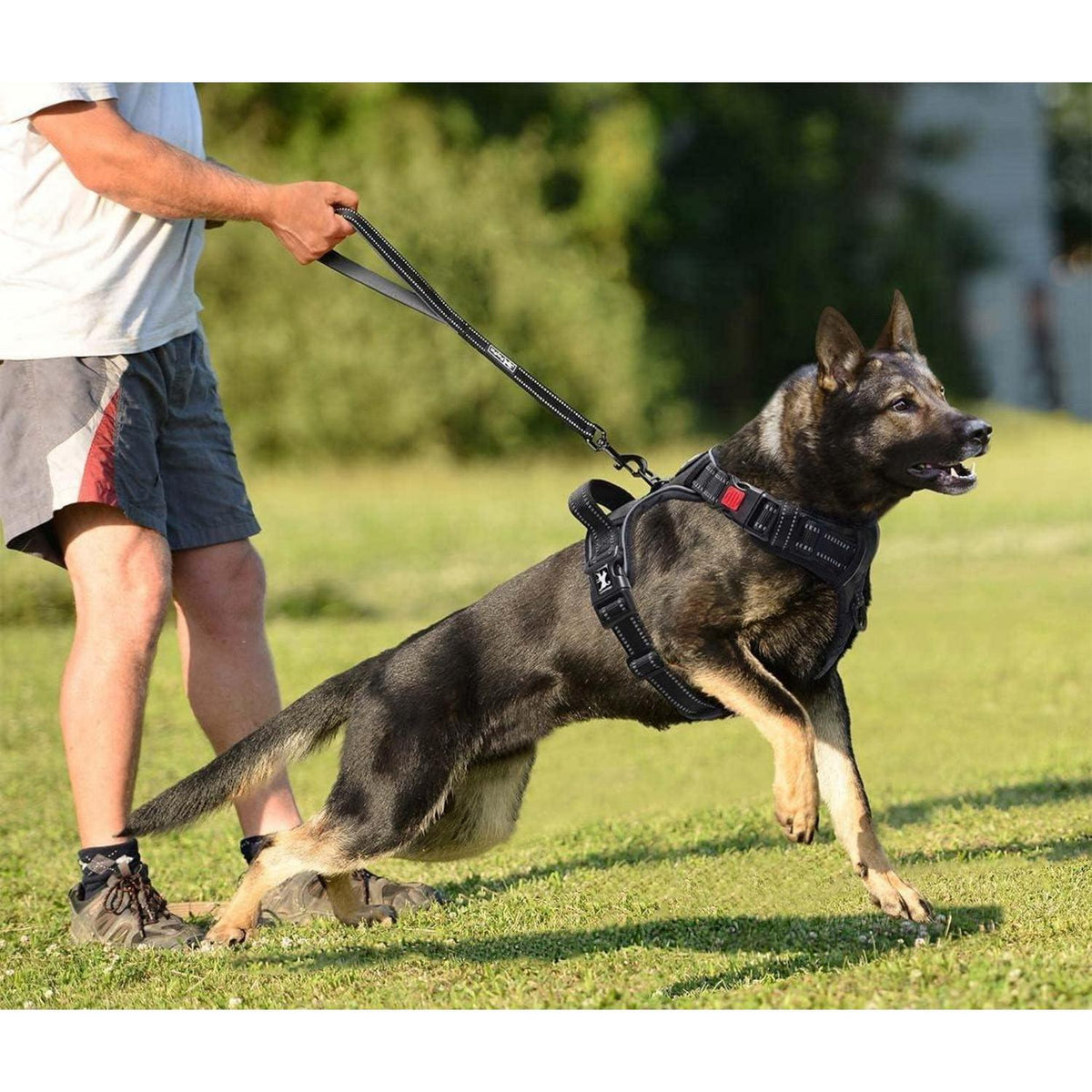 Hundegeschirr mit Front-D-Ring, atmungsaktiv, verstellbar, L Schwarz