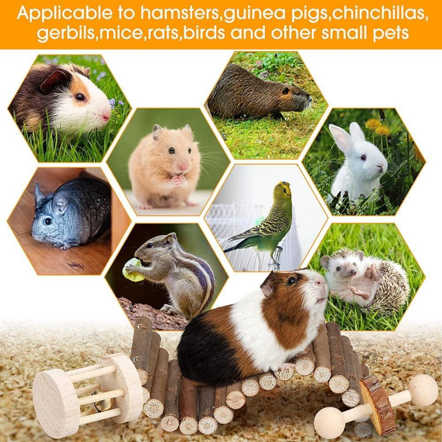 Hamster-Kauspielzeug-Set - Molarspielzeug für Nagetiere, Zahnpflege, Holzzubehör