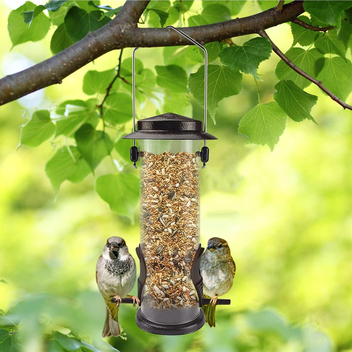 Vogelfutterspender Edelstahl Aufhängbar Garten Wildvögel Locken 2 Stk