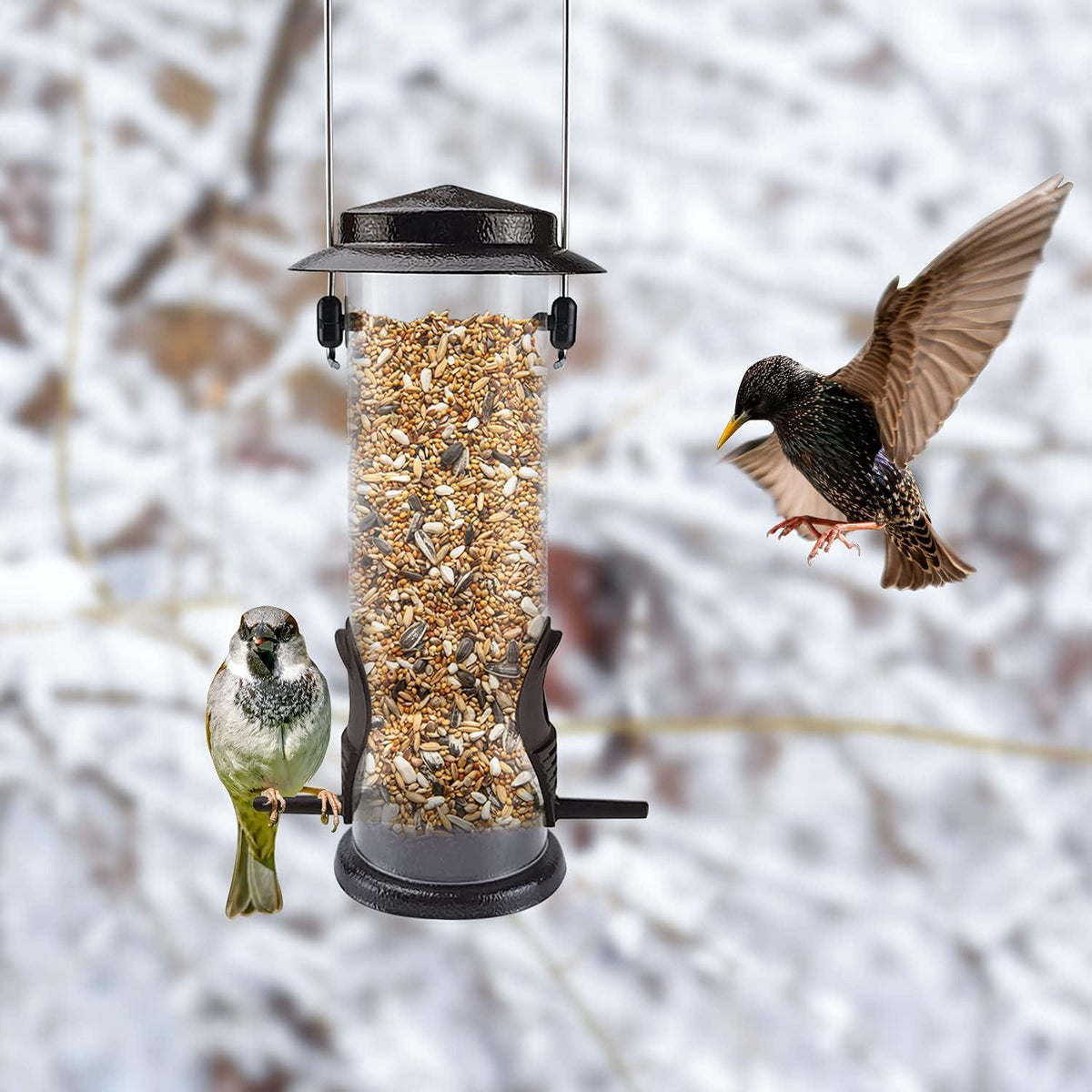 Vogelfutterhaus Metall Aufhängbar Wildvögel 2 Anschlüsse Kaffeebraun