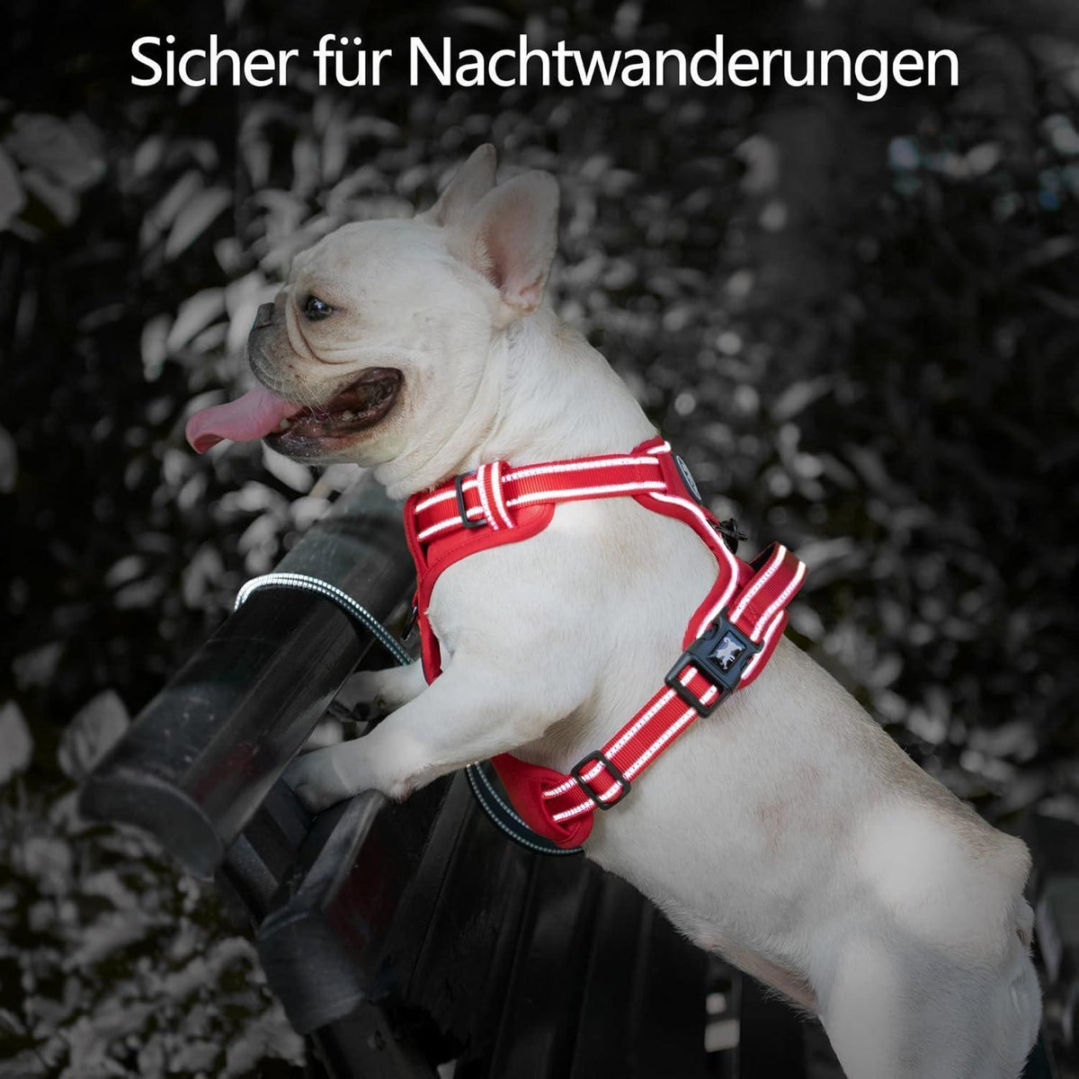 PoyPet Hundegeschirr ohne Zug, Rot, Größe S