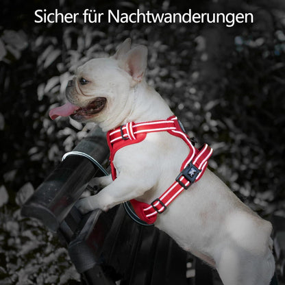 PoyPet Hundegeschirr ohne Zug, Rot, Größe S