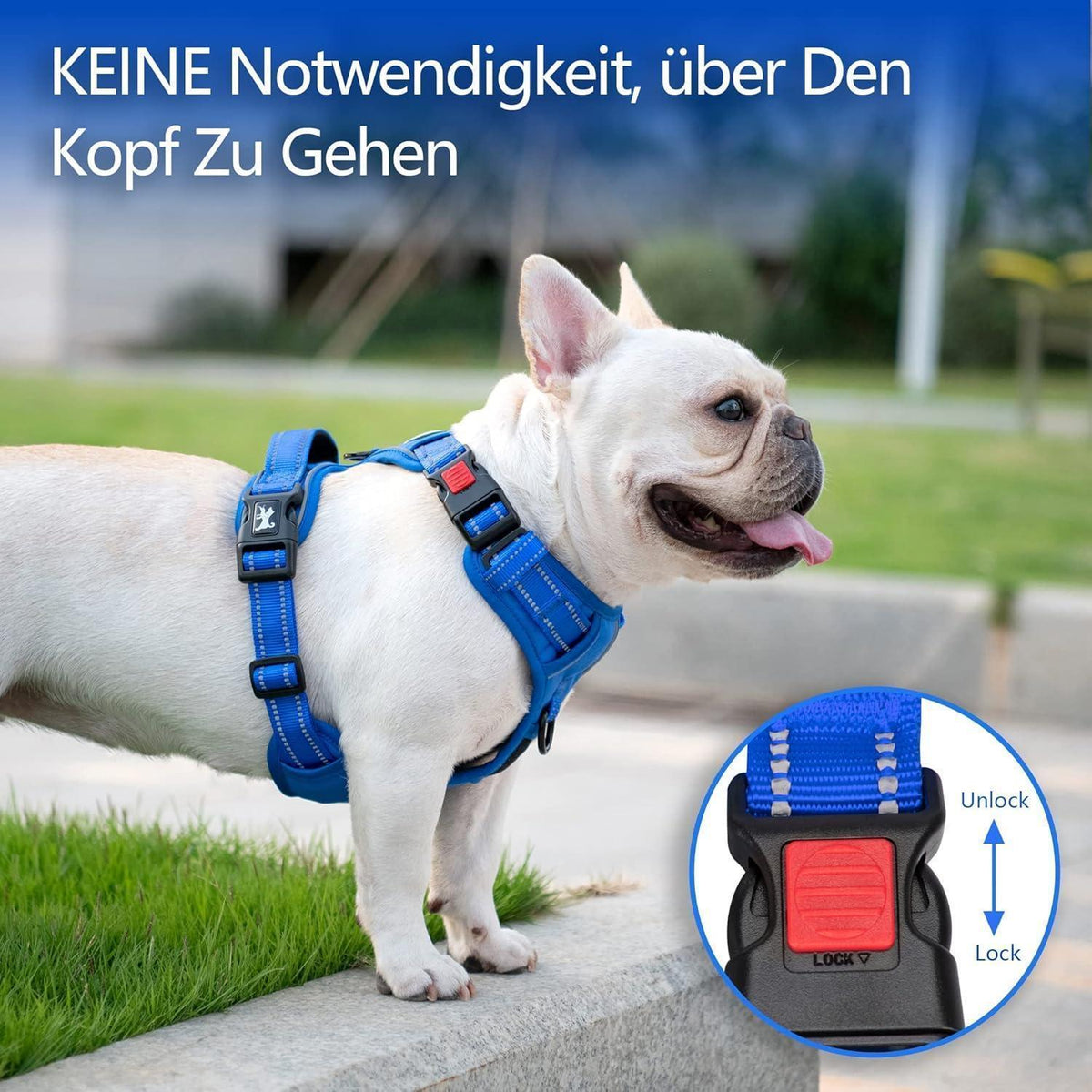 PoyPet Kein Zieh-Hundegeschirr, Königsblau, XS