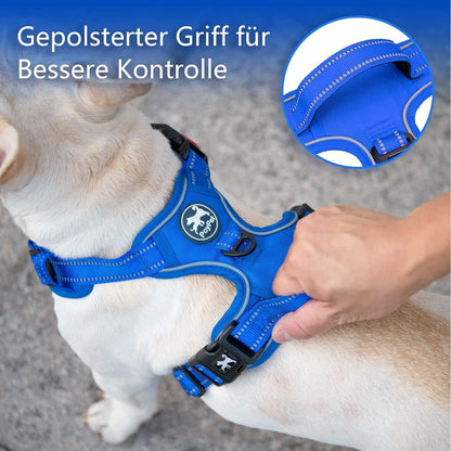 PoyPet Kein Zieh-Hundegeschirr, Königsblau, XS