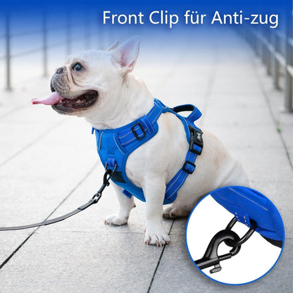 PoyPet Kein Zieh-Hundegeschirr, Königsblau, XS