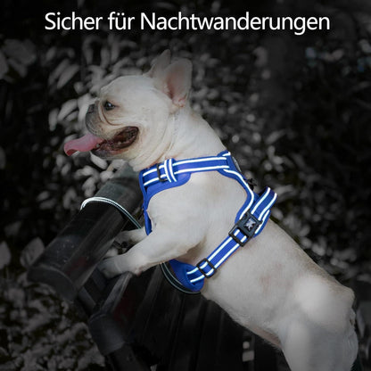 PoyPet Kein Zieh-Hundegeschirr, Königsblau, XS