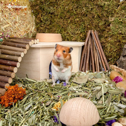 Niteangel Birkenkammer Hamsterversteck Waldhaus für Kleintiere
