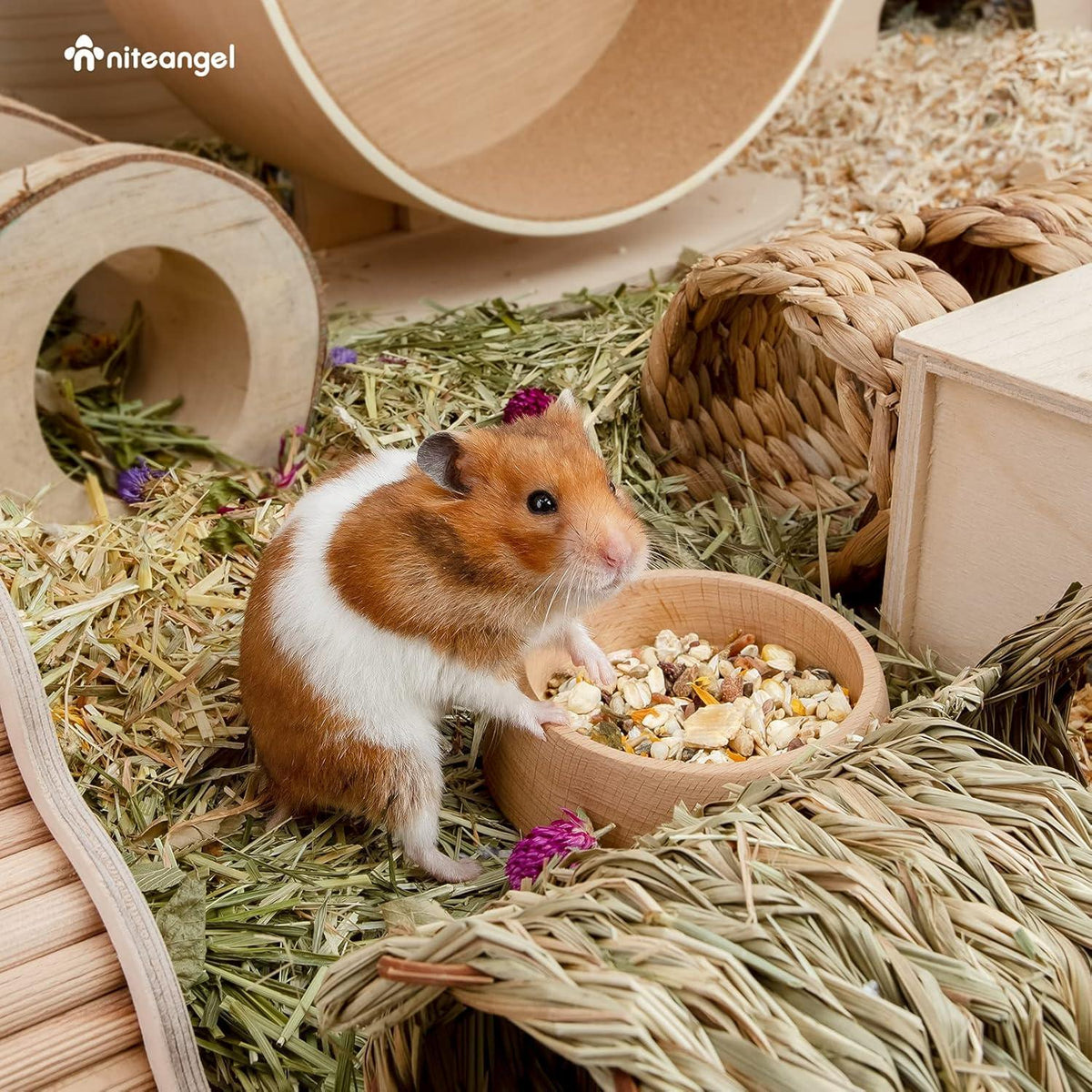 Hamster-Futternapf aus Holz für Kleintiere - Buche, stabil, leicht zu reinigen - 7,9 cm Durchmesser