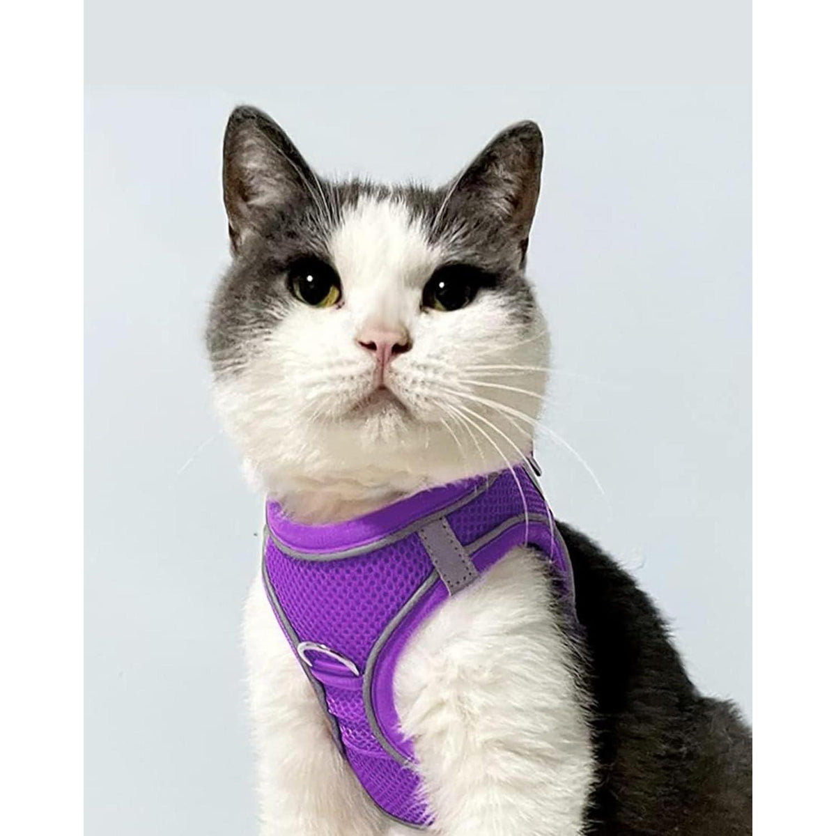 Joytale Hundegeschirr Air-Mesh atmungsaktiv reflektierend XXS Lila