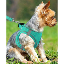 Joytale Hundegeschirr Air-Mesh Reflektierend Weich