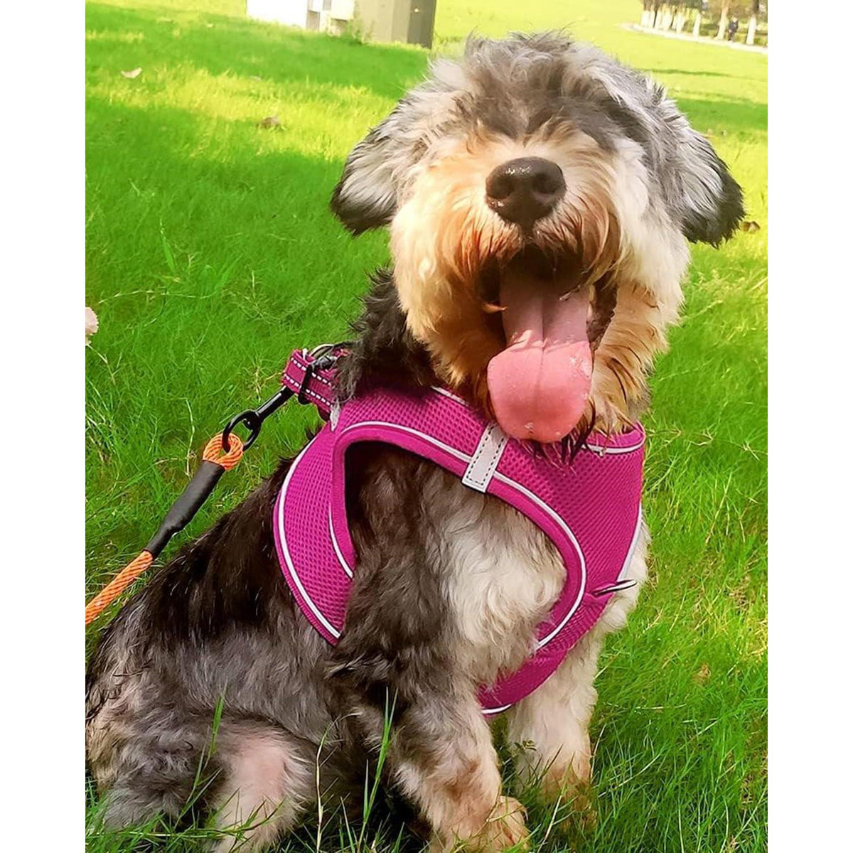 Joytale Hundegeschirr Reflektierend Air-Mesh Atmungsaktiv Leuchtend Rosa L