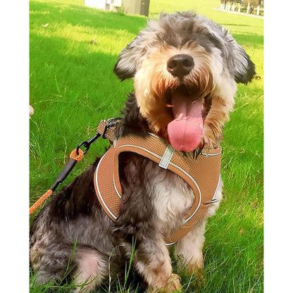 Hundegeschirr Air-Mesh atmungsaktiv reflektierend Khaki L