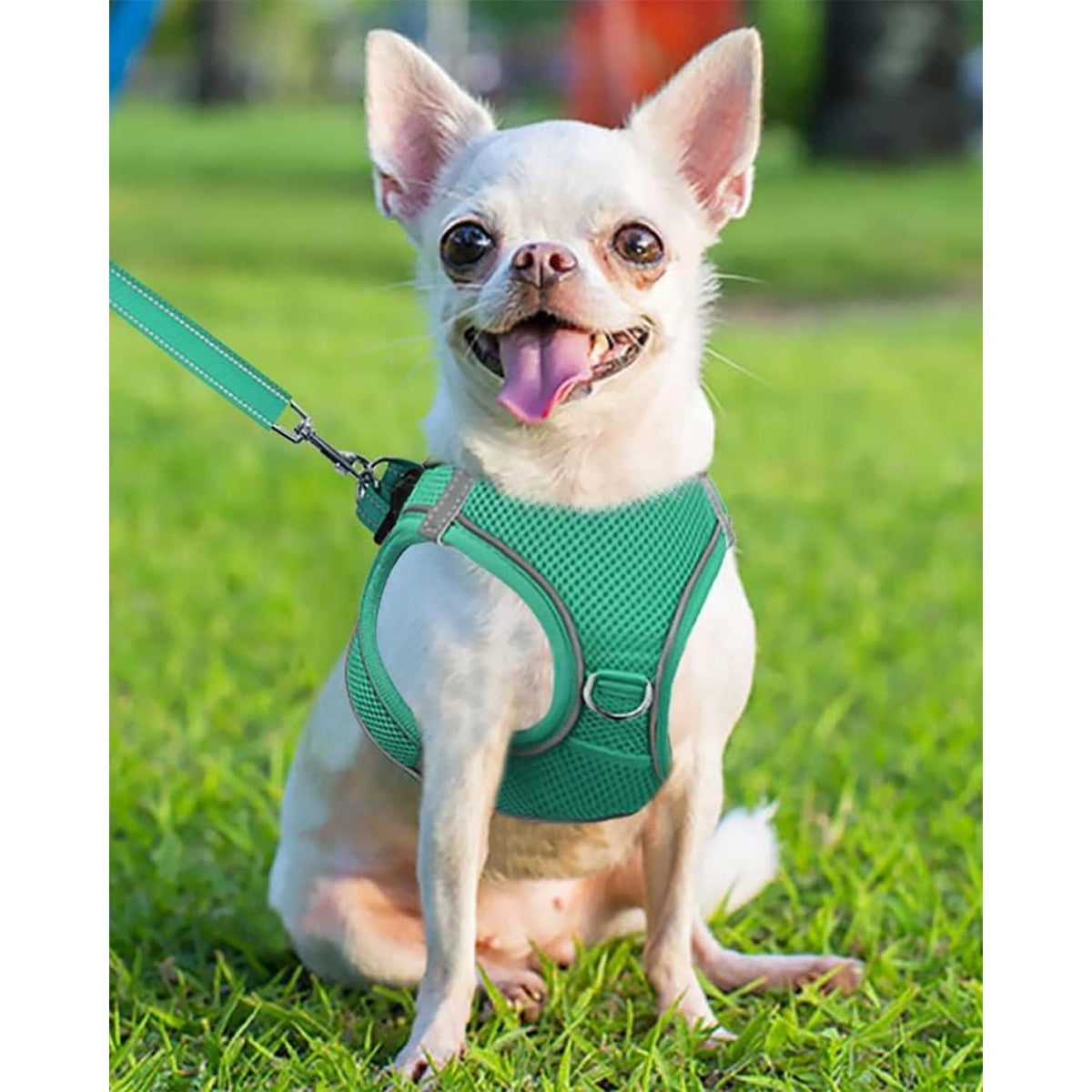 Hundegeschirr Air-Mesh atmungsaktiv reflektierend Türkis XS