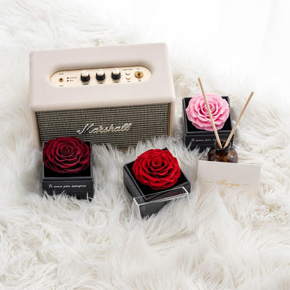 Ewige Konservierte Rose Geschenk Set Halskette Handgemacht Rot