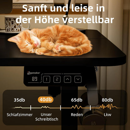 Elektrischer Höhenverstellbarer Schreibtisch 110x60cm Schwarz