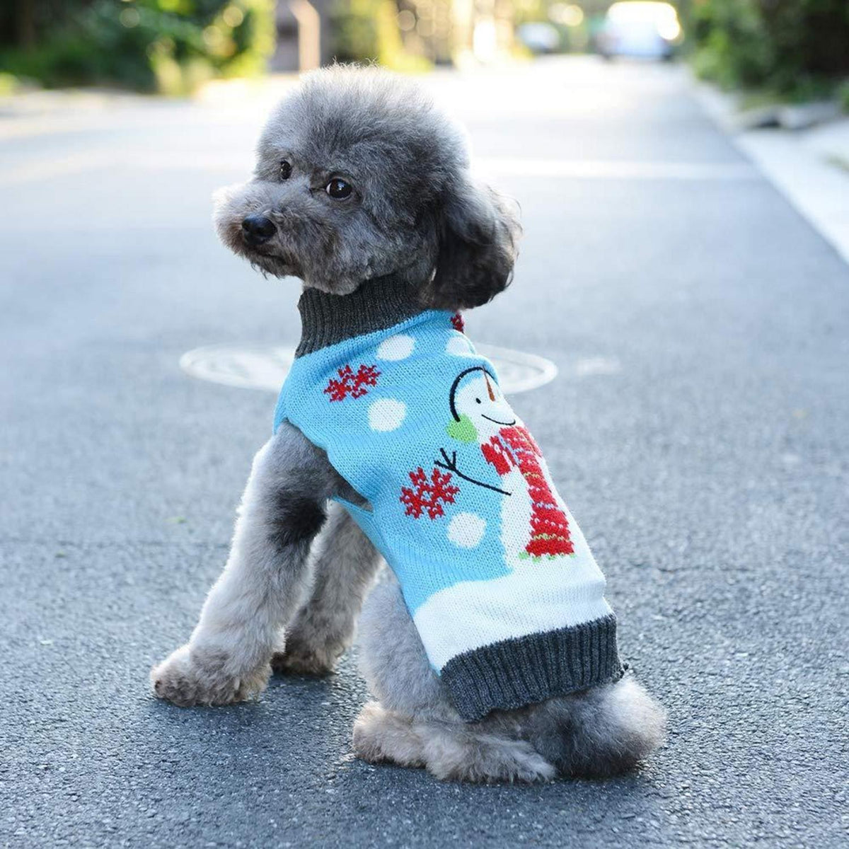 Weihnachts Hundepullover - Warmer Winter-Sweater für kleine Hunde